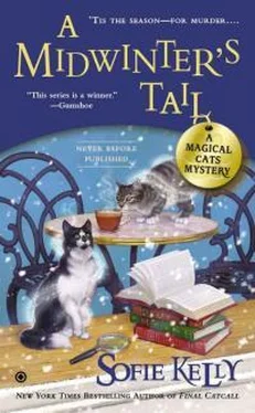 Софи Келли A Midwinter's Tail обложка книги