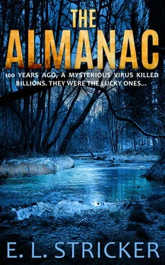 E Stricker The Almanac обложка книги