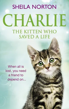 Шейла Нортон Charlie The Kitten Who Saved A Life обложка книги