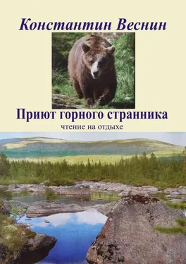 Константин Веснин Приют горного странника обложка книги