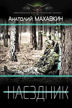 Анатолий Махавкин Наездник [СИ] обложка книги