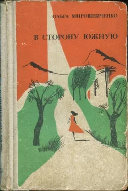 Ольга Мирошниченко В сторону южную обложка книги