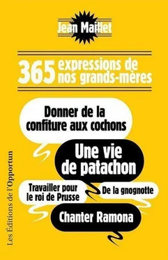 Jean Maillet 365 expressions de nos grands-mères обложка книги