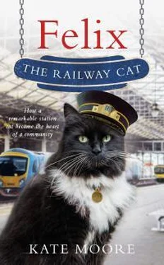 Кейт Мур Felix The Railway Cat обложка книги