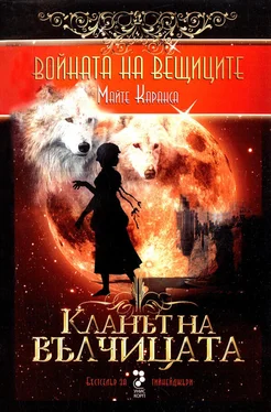 Майте Карранса Кланът на вълчицата обложка книги