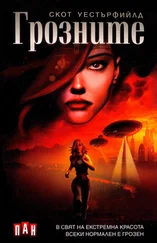 Скотт Вестерфельд - Грозните