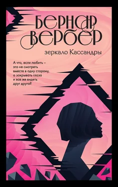 Бернар Вербер Зеркало Кассандры [litres] обложка книги