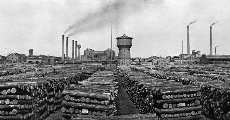 Целлюлозная фабрика Вальдгоф 1910 г Офицеры 148го пехотного Каспийского - фото 29