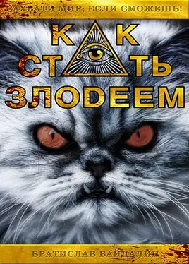 Братислав Байдалин Как стать злодеем [СИ] обложка книги