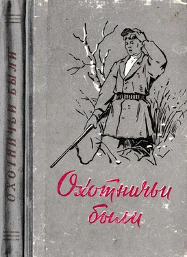 Александр Толстиков Охотничьи были обложка книги