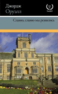 Джордж Оруэлл Славно, славно мы резвились обложка книги