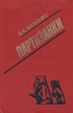 Владимир Яковенко Партизанки обложка книги