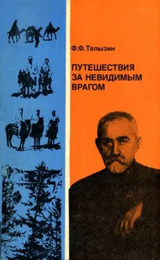 Федор Талызин Путешествия за невидимым врагом обложка книги