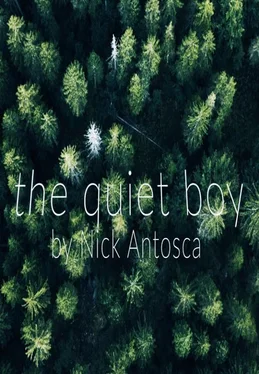 Nick Antosca The Quiet Boy обложка книги