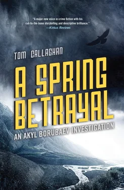 Tom Callaghan A Spring Betrayal обложка книги