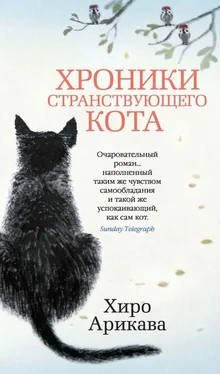 Хиро Арикава Хроники странствующего кота обложка книги