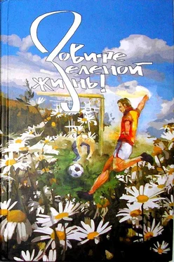 Виктор Скачков Сталинградский Гаврош обложка книги