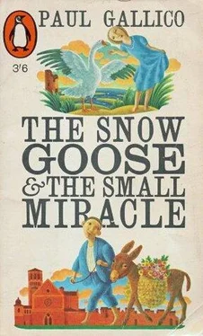 Пол Гэллико The Snow Goose обложка книги
