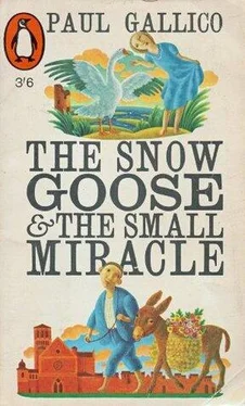 Пол Гэллико The Small Miracle обложка книги