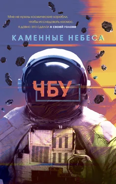 ЧБУ Каменные небеса [litres] обложка книги