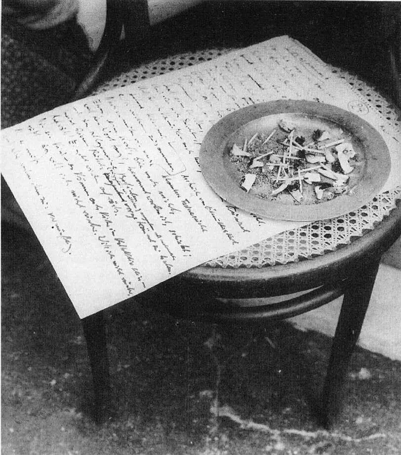 Рукопись стихотворения Предчувствие из романа Палтус 1974 г Г Грасс с - фото 30