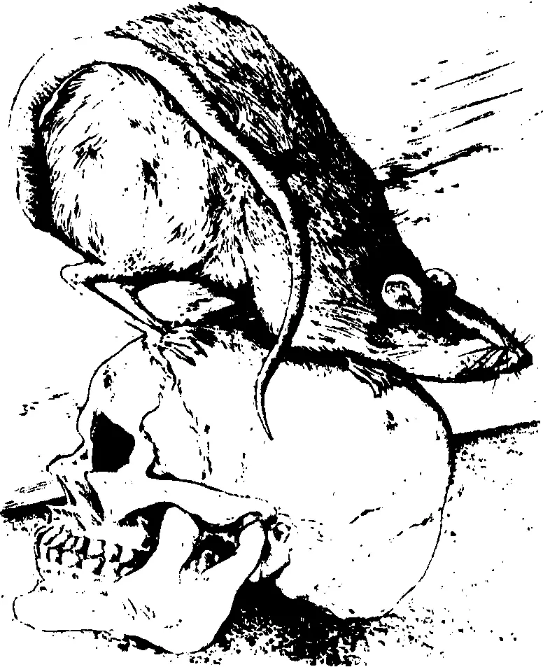 Memento mori Помни о смерти 1985 г Рукописная страница из романа - фото 47