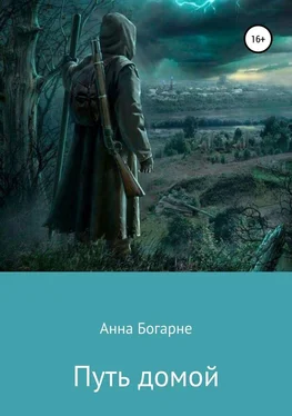 Анна Бобылева Путь домой обложка книги
