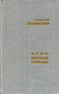 Алексей Шеметов Крик вещей птицы обложка книги