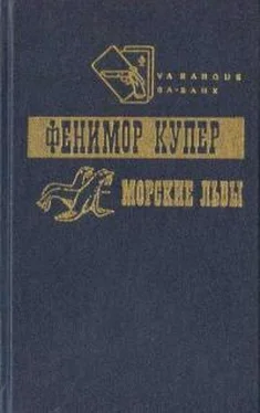 Джеймс Купер Приключения Веллингфорда. Хижина на холме. Морские львы обложка книги