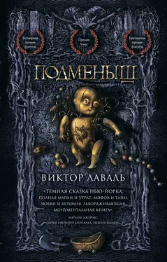 Виктор Лаваль Подменыш [litres] обложка книги