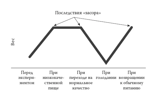 Рис 34 Влияние низкокачественной пищи по исследованиям Роллс - фото 8