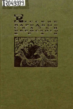 Александр Черных Русские народные сказки Пермского края обложка книги