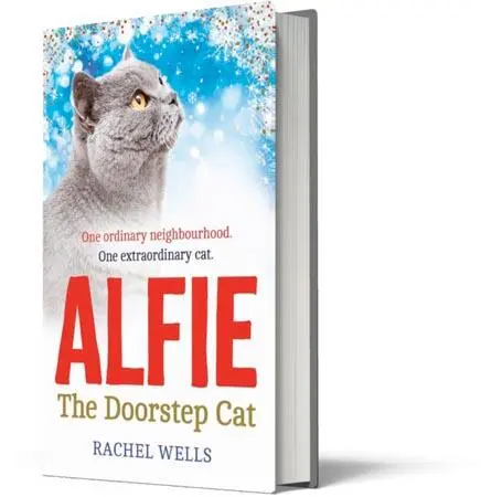 Discover how it all started with the Sunday Times bestselling doorstep cat - фото 28