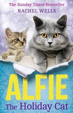 Рейчел Уэллс Alfie The Holiday Cat обложка книги