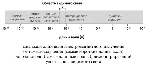 Вернувшись с астрофизической конференции в декабре 1964 г Пензиас обсудил - фото 31