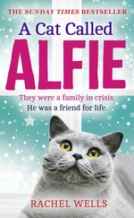 Рейчел Уэллс - A Cat Called Alfie