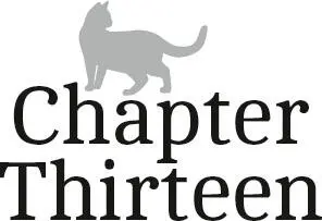 Chapter Thirteen I left number 22A having made the decision to get a present - фото 14