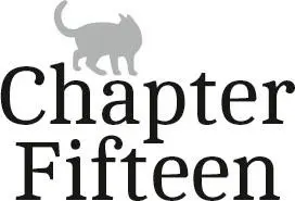 Chapter Fifteen I was curled up in the special cat bed Claire had bought me - фото 16