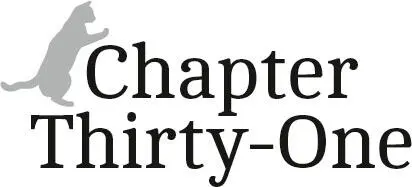 Chapter ThirtyOne If I thought being a doorstep cat had been hectic before I - фото 32