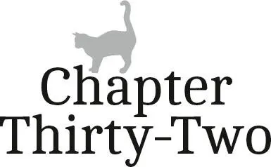Chapter ThirtyTwo I awoke knowing the answer It was still dark outside but - фото 33