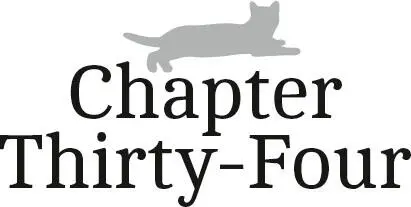 Chapter ThirtyFour I dont know how many days had passed in this strange - фото 35