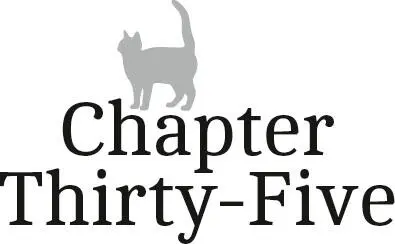 Chapter ThirtyFive It was the day to go home and I was so excited No more - фото 36