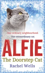 Рейчел Уэллс - Alfie The Doorstep Cat