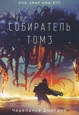 Дмитрий Черепанов Собиратель Том 3 обложка книги