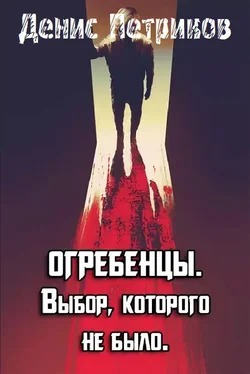 Денис Петриков Выбор, которого не было. обложка книги