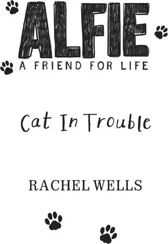 Rachel Wells Alfie Cat In Trouble Copyright First published in Great Britain - фото 1