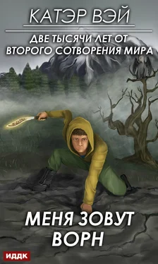 Катэр Вэй Меня зовут Ворн [publisher: ИДДК] обложка книги