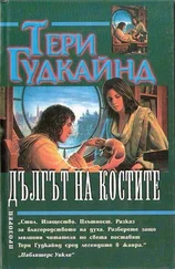 Тери Гудкайнд - Дългът на костите