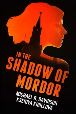 Michael Davidson In the Shadow of Mordor обложка книги