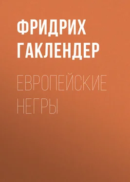 Фридрих фон Гаклендер Европейские негры обложка книги